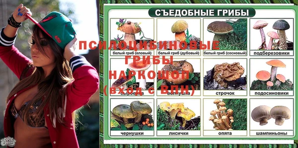 индика Дмитриев