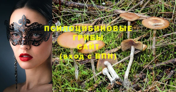 индика Гусиноозёрск