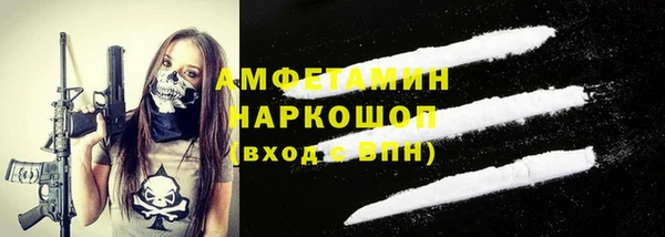 индика Дмитриев
