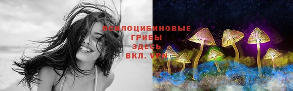 mix Гусев