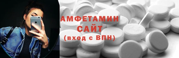 индика Гусиноозёрск