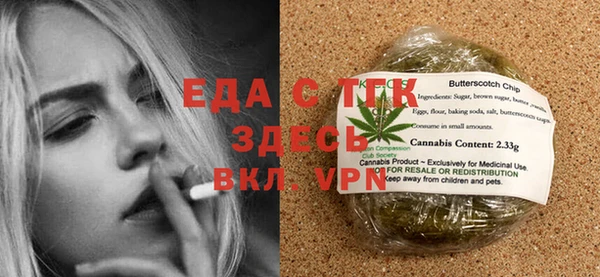 индика Дмитриев