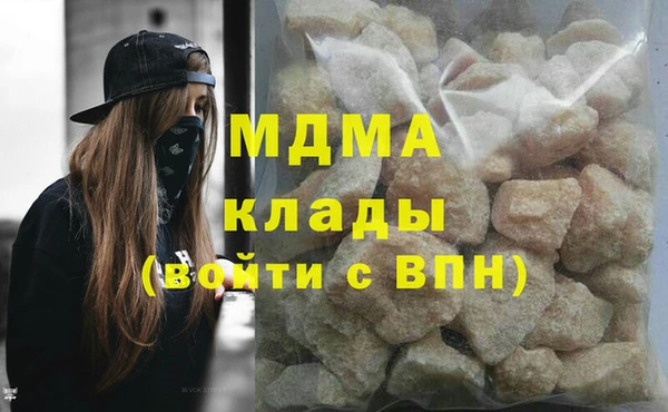 индика Дмитриев