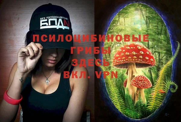 индика Гусиноозёрск
