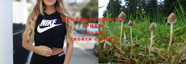 MDMA Premium VHQ Дмитров